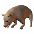 Piglet 3D