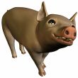 Piglet 3D
