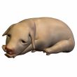 Piglet 3D