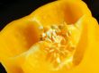 Yellow pepper