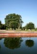 Two trees are reflected in the calm pond