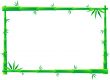 Bamboo Frame