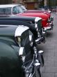 vintage cars bonnets line