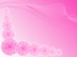 Pink flowers backdrop