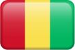 Guinea Flag Button