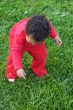Baby playing on the grass