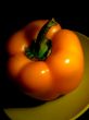 green stalk on yellow paprika