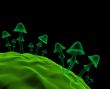 Transparent 3d mushrooms