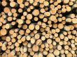 stack of wood