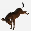 3D Donkey
