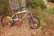 Rusty Bike