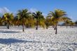 Palmаs on the sand