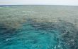 Coral island