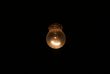 Bulb 1
