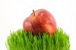 apple on grass