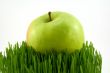 green apple