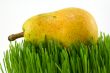 pear on grass