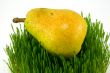 pear on grass