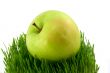 apple and grass