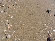 Wet sea sand