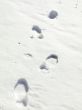 Foot print