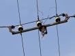 Street wires with lamp