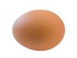 Isolated egg