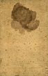 Old paper with spots
