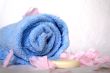 Elegant Spa and Bath
