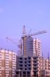 Crane