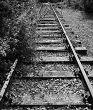 Old railway track