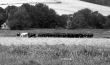 Nostalgic British rural view