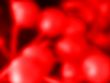 red berry abstract