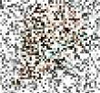 Small square tiles
