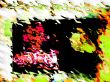 watery rippled view background