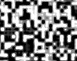 black and white cellular