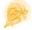 Gentle yellow
