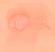 Gentle peach mood