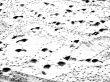 Footprints