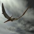 Pteranodon