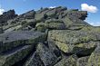 At the top of world