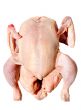 Raw chicken