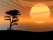 Tree in the sunset