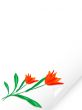 Bended paper with tulips