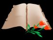 Old book