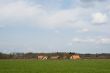 farmhouses