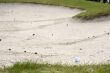 golf ball in the sandbank