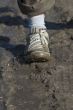 the Dirt