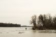 Flood