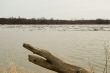 River Ice